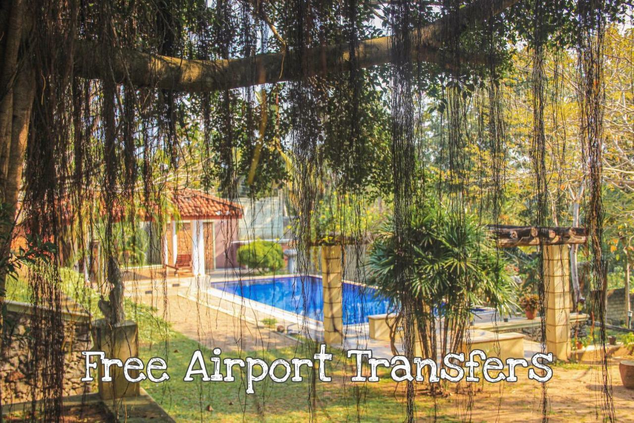 Airport Green Olive Villa Katunayaka Extérieur photo